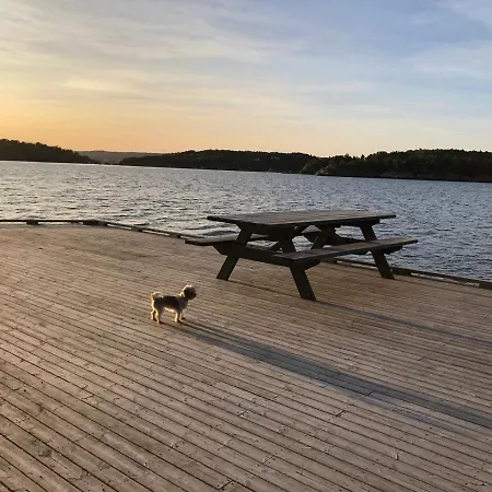 Sjonaer Idyll